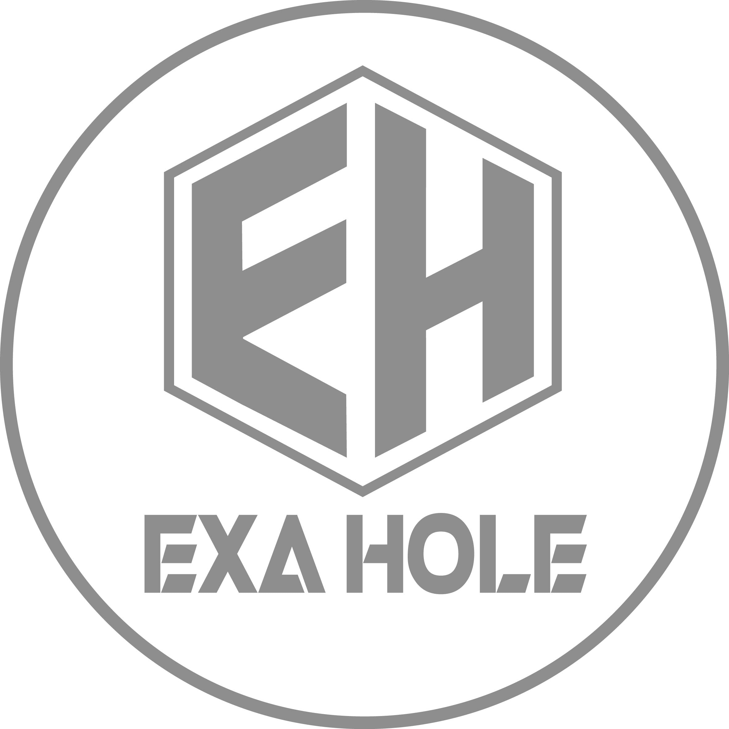 Logo Exa Hole, une technologie novatrice utilisée dans nos raquettes